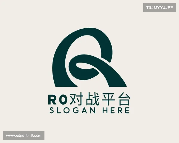 关于r0对战平台